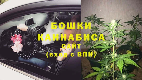 PSILOCYBIN Покачи