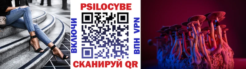 Псилоцибиновые грибы мухоморы продажа наркотиков Полярные Зори